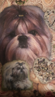 Min første prøvelse på canvas. En gave, av en shih tzu hanne som tok mitt hjerte fra en annen kennel.